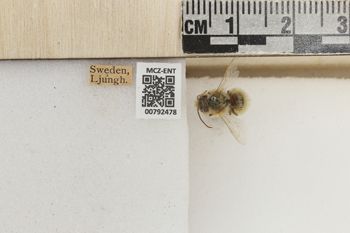 Media type: image;   Entomology 792478 Aspect: Labels